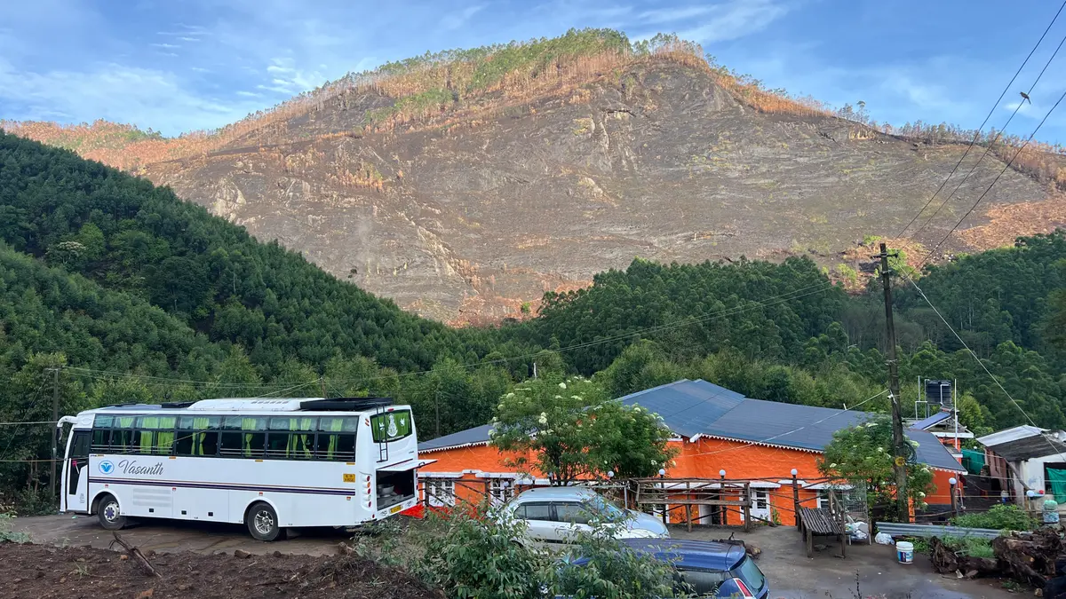 Paradise Resort Views